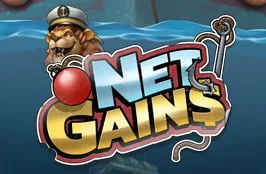 Net Gains