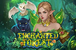 Enchanted Forest