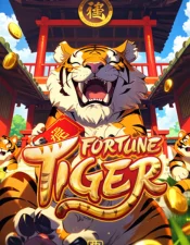 Fortune Tiger