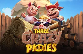 Three Crazy Piggies